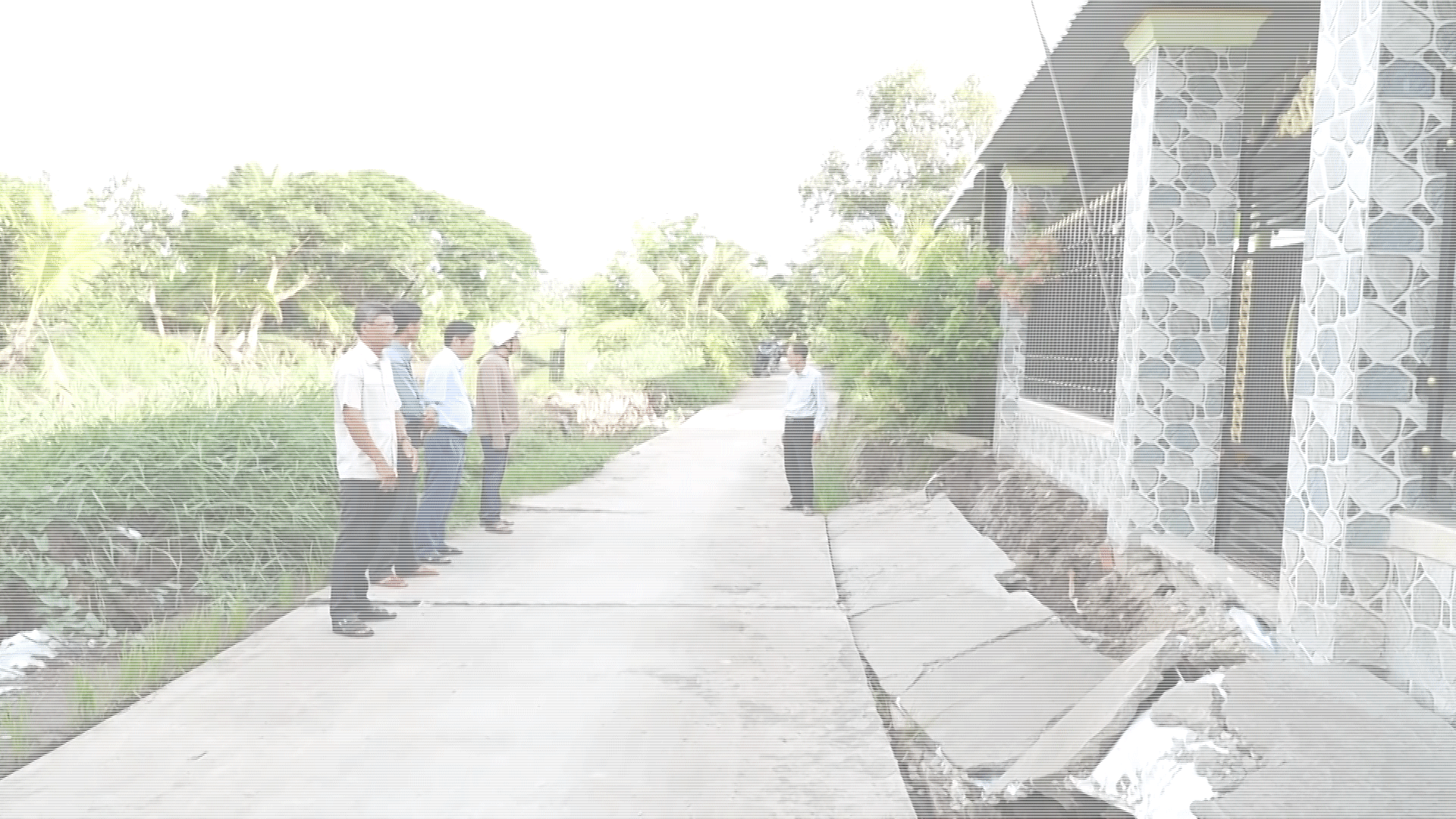Gia tăng sạt lở, sụp lún bước vào mùa mưa ở cà mau