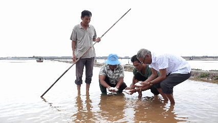 Cà Mau: Gần 7 tỷ đồng hỗ trợ diêm dân bị thiệt hại do mưa trái mùa