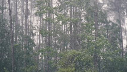 Dự báo thời tiết 8-7: Bắc bộ mưa dông, cục bộ mưa to; đề phòng lốc, sét, mưa đá