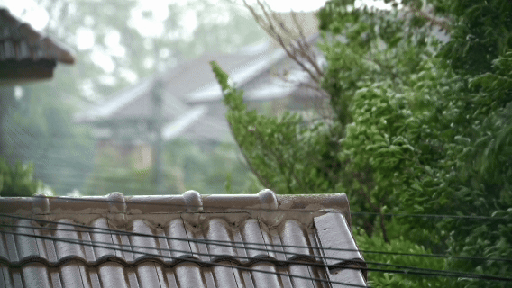 Dự báo mưa dông xuất hiện rải rác nhiều khu vực trên cả nước