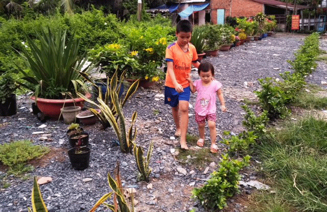 Xanh hóa điểm đen ô nhiễm ảnh 3