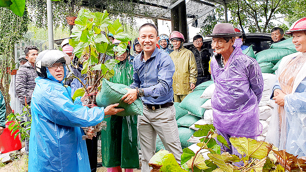Tặng 5.000 cây vả giống cho nông dân