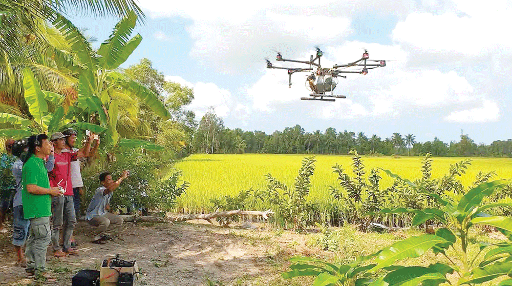 Trình diễn máy bay không người lái bón phân cho đồng ruộng.  Ảnh: SAO NAM