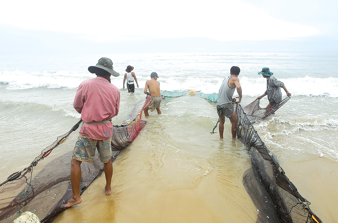 Bám biển mưu sinh   ảnh 3