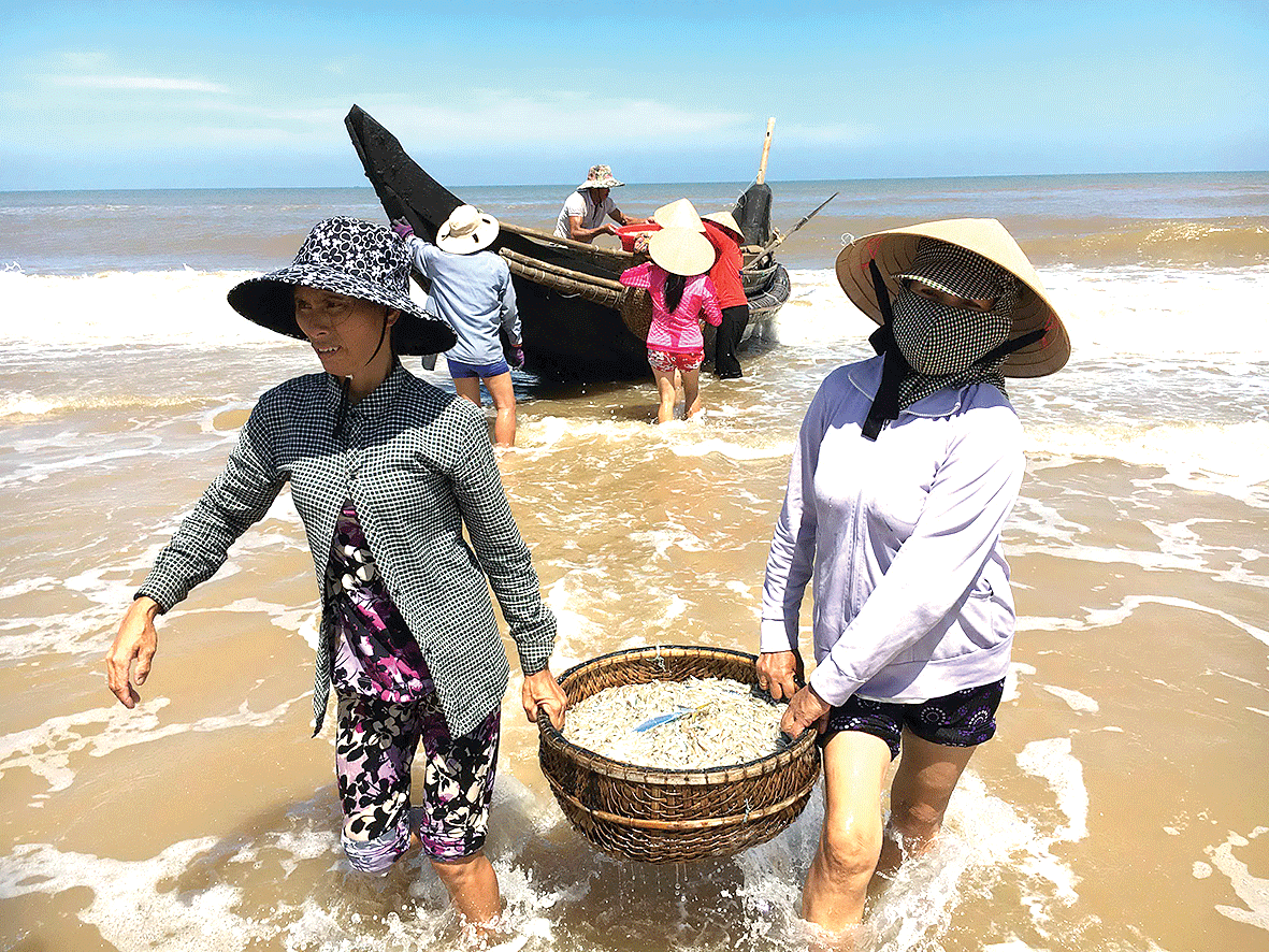 Bám biển mưu sinh   ảnh 5