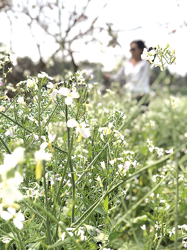 Vun vén tình thân