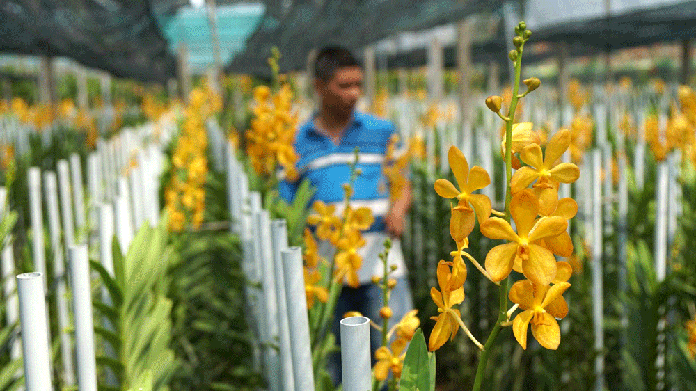 Bài học cho các “nhà đầu tư mạo hiểm”