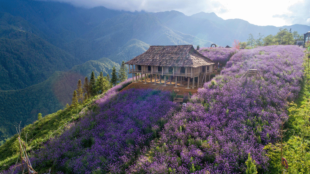 Gợi ý hành trình khám phá Sa Pa trong mùa kích cầu ảnh 7