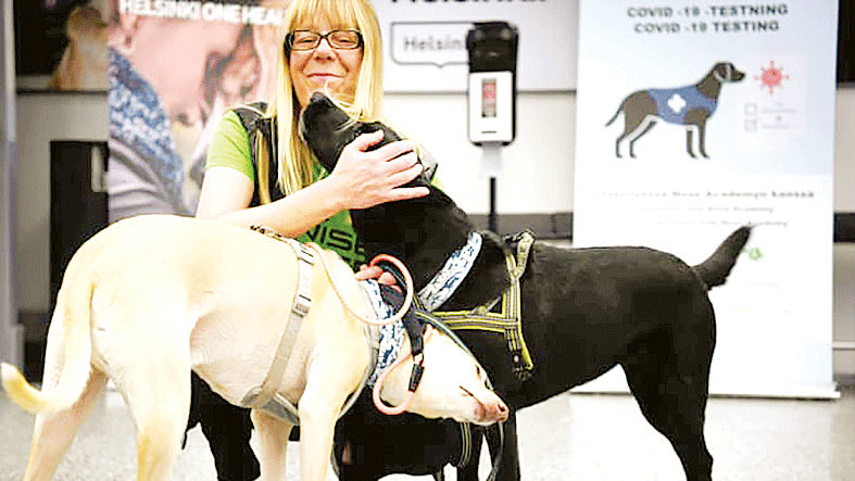 Thử nghiệm dùng chó phát hiện người mắc Covid-19
