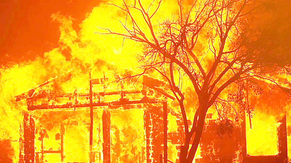 Cháy rừng ở Mỹ ngày càng trầm trọng do biến đổi khí hậu