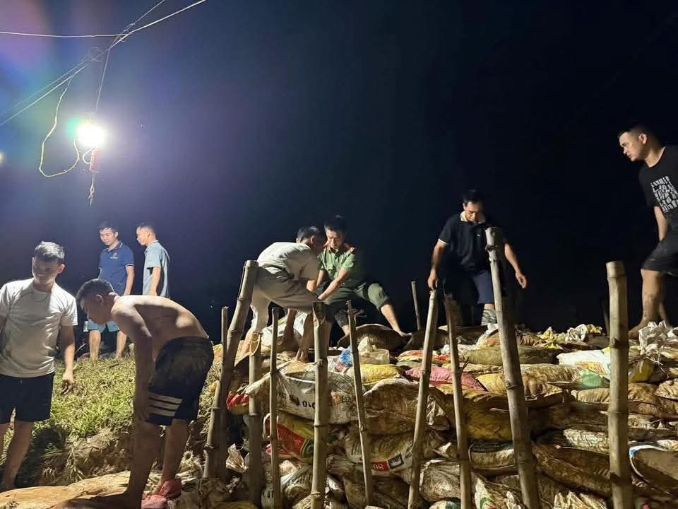 Lực lượng chức năng và người dân xã Đa Phúc, TP Hà Nội gia cố bờ đê vào đêm 8-10