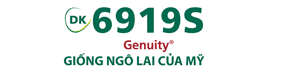 Giá ca cao biến động ở mức 4.500-5.000 đồng/kg ảnh 16