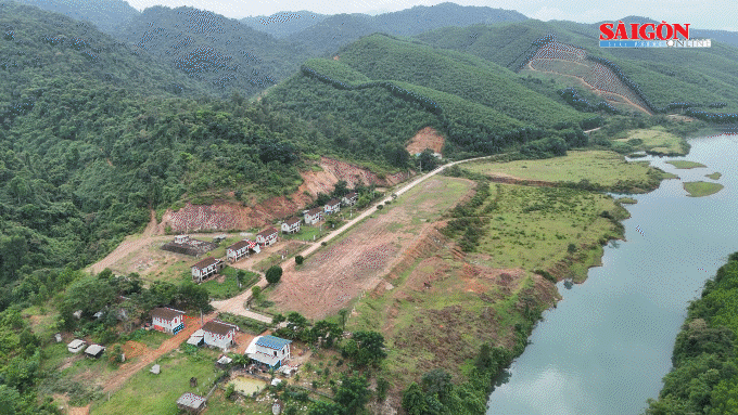 Triển vọng phát triển cây dó trầm ở bản Rào Tre 