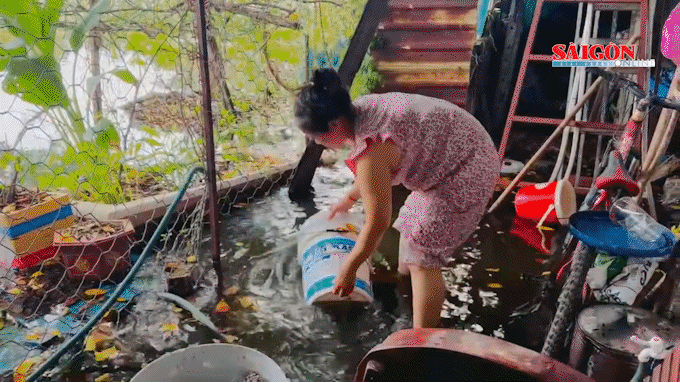 Hơn 30 năm "sống mòn" trong vùng ngập nước