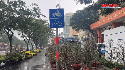 TPHCM mưa bất chợt, tiểu thương bán hoa tết “đứng ngồi không yên”