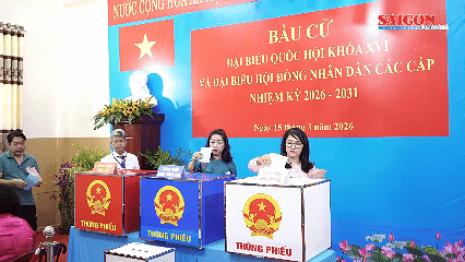 Đến 19 giờ ngày 15-3, tỷ lệ cử tri đi bầu cử tại TPHCM đạt 96,67%