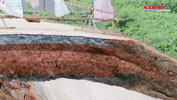 Tây Ninh: Khẩn trương đề xuất giải pháp xử lý sạt lở tuyến đê bao hơn 14 tỷ đồng