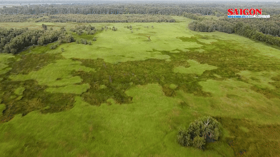 Căng mình bảo vệ rừng Tràm Chim và Gò Tháp trước mùa nắng nóng