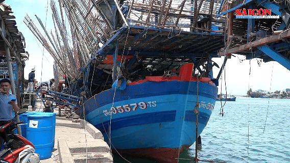 Quảng Ngãi: Giá mực xà tăng cao kỷ lục
