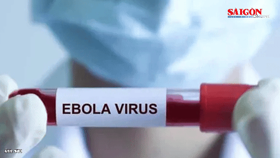 Hơn 80 ca tử vong nghi do nhiễm virus Ebola ở Congo, Bộ Y tế ra thông báo khẩn