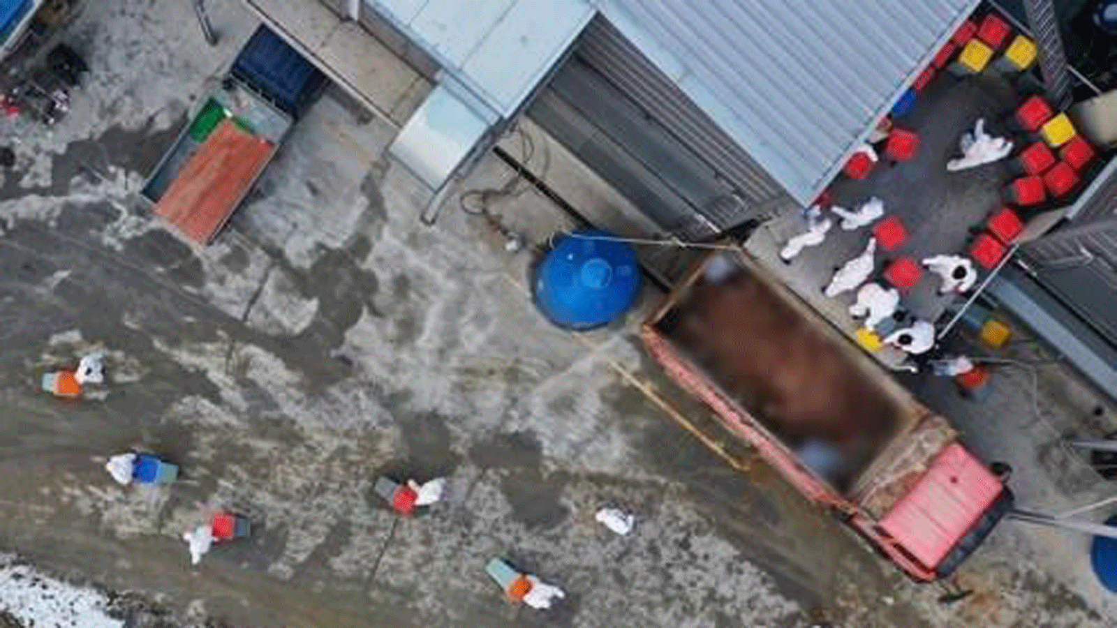 Lượng lượng bác sĩ thú y chuẩn bị tiêu hủy những con chim tại một trang trại trứng ở Yeoju. Nguồn: Yonhap