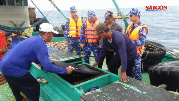 Tạm giữ tàu vận chuyển 130.000 lít dầu D.O không rõ nguồn gốc 