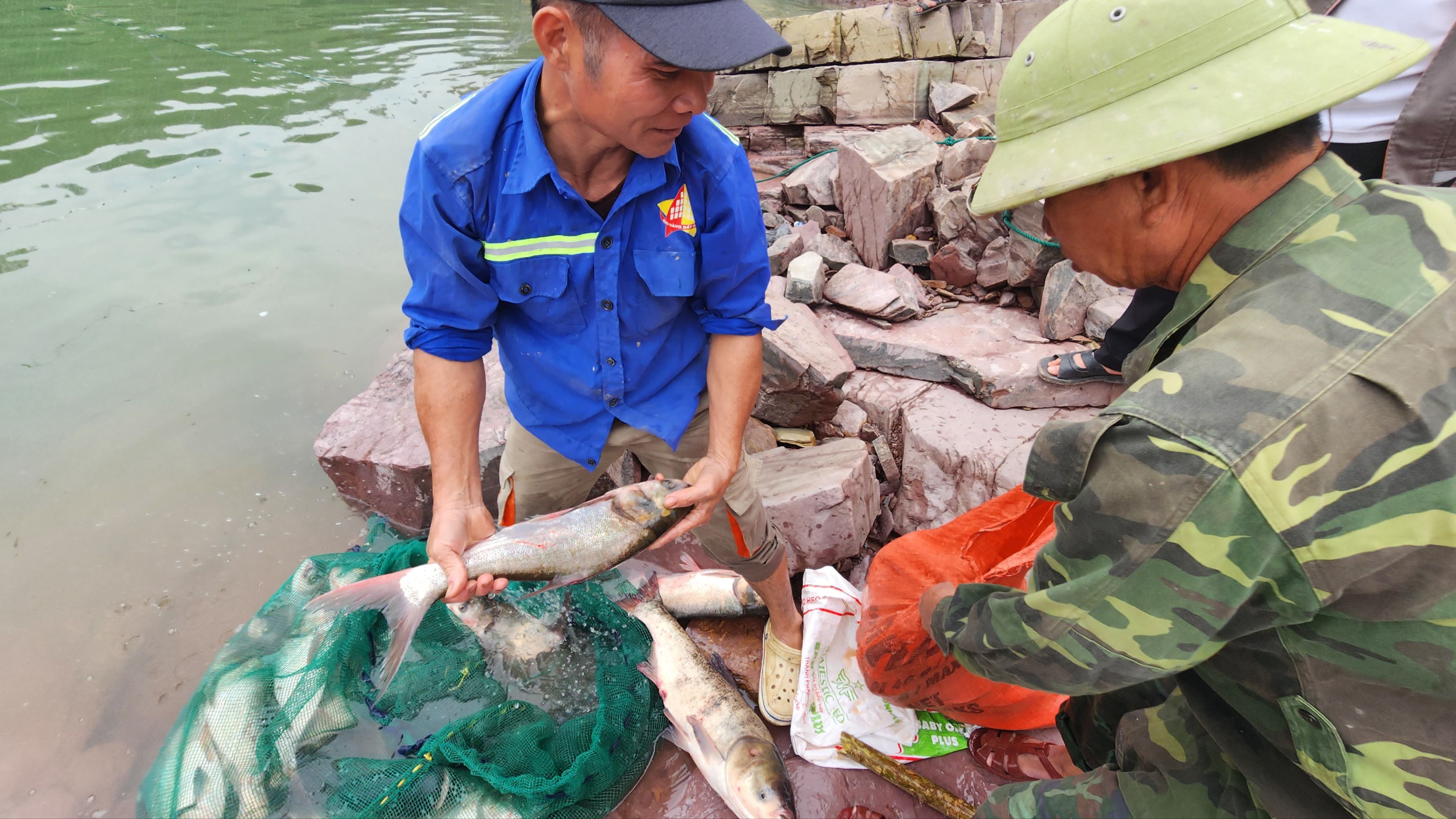 Người dân phấn khởi đánh bắt được con cá mè lớn ở hạ du hồ Kẻ Gỗ 
