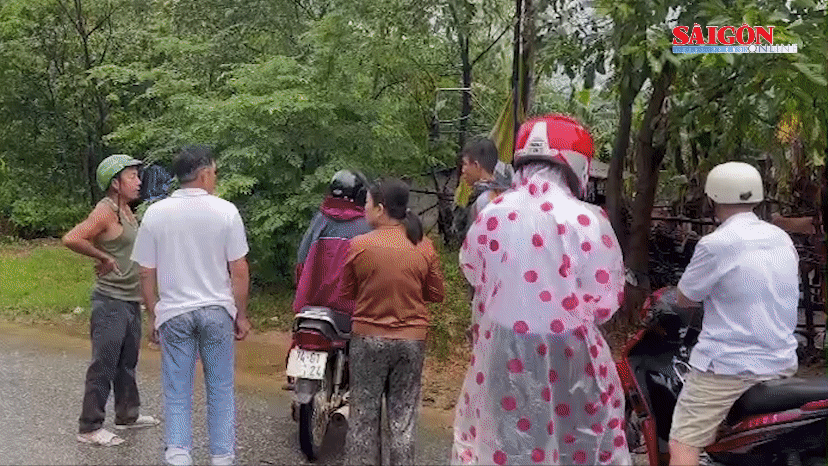 Nhìn đàn bò trôi giữa dòng lũ, nhiều người chảy nước mắt "đó là tài sản lớn"