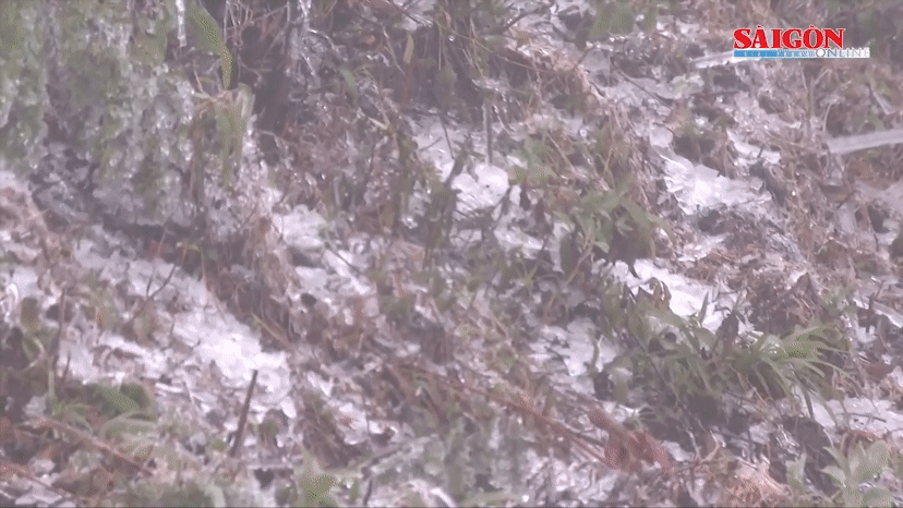 Gần 8 giờ sáng, Hà Nội vẫn như đêm