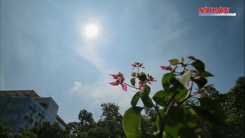 Từ tháng 1-2024, Nam bộ bước vào mùa khô