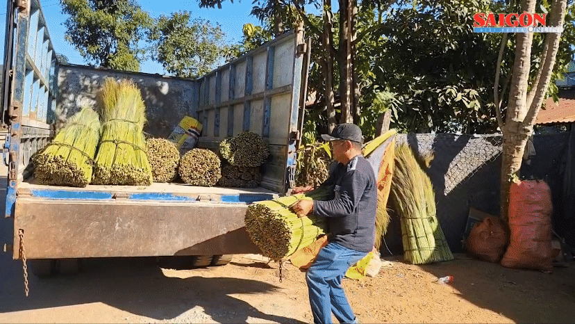 Mùa đót bội thu