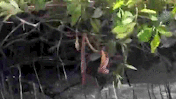 Hiện trường vụ nổ