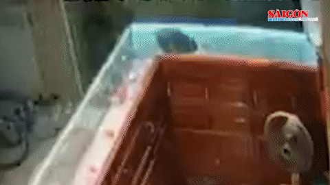 Thời điểm nghi phạm vào cướp tiệm vàng trong đêm 