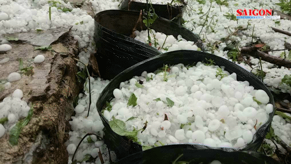 Cơ quan khí tượng lý giải vì sao mưa đá dữ dội ở nhiều nơi