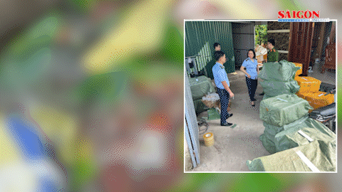 Ngăn chặn hàng tấn cua cà ra, nầm heo, lườn vịt… không “lai lịch”