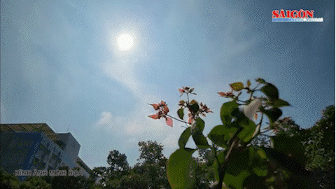 Bản tin trưa 9-5: Vàng SJC tăng chóng mặt; Nam bộ tiếp tục nắng nóng...