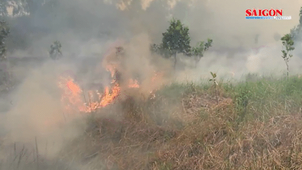 Hiện trường vụ cháy