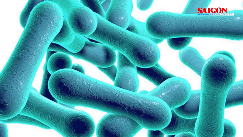 8/15 mẫu xét nghiệm của tỉnh Bắc Giang âm tính với bệnh bạch hầu