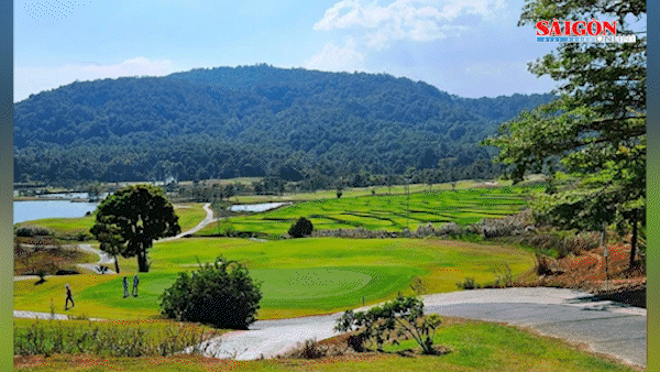 Lâm Đồng: Điều tra vụ mất hơn 37ha rừng tại dự án sân golf Đạ Ròn