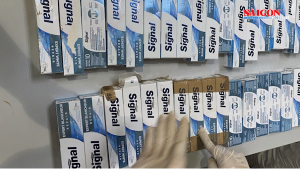 tiep vien hang khong.gif