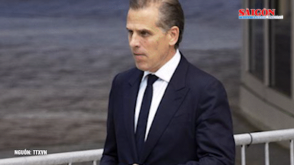 Con trai Tổng thống Biden thừa nhận trốn thuế