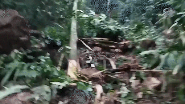 Quảng Nam: Huyện Nam Trà My đề nghị ban bố tình trạng khẩn cấp 