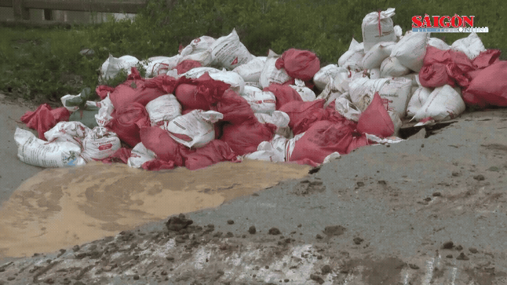 Huy động hàng trăm người khắc phục sự cố đê sông Vinh