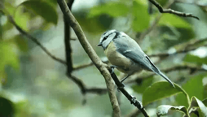 Người phụ nữ bền bỉ với hành trình “điểm đến Net Zero”