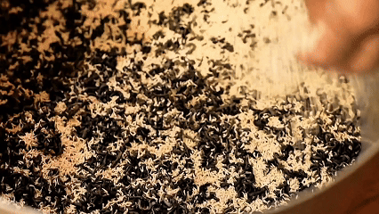 Tình yêu và đam mê truyền qua 4 đời làm trà sen Tây Hồ