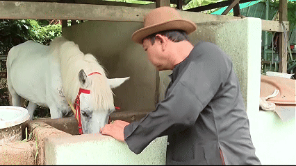 Xe thổ mộ Đất Thủ: Câu chuyện giữ nghề xưa của truyền nhân đời thứ ba 