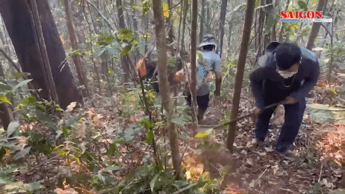 Cháy rừng ở Sơn La, lực lượng chức năng và người dân xuyên đêm dập lửa