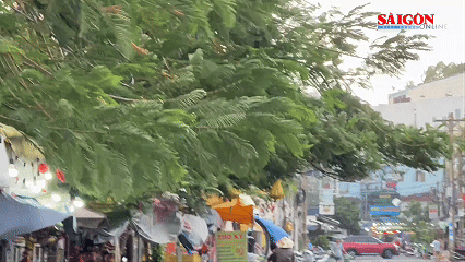 TPHCM: Gió lớn quật rớt biển quảng cáo xuống đường