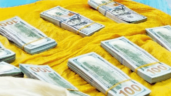 Tìm bị hại trong vụ án vận chuyển tiền cho người phụ nữ có biệt danh “hạt dẻ cười” 