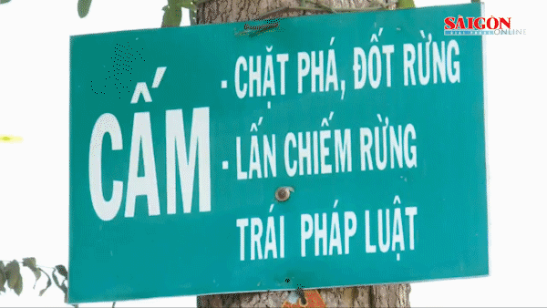 Phú Yên chủ động ứng phó nguy cơ cháy rừng